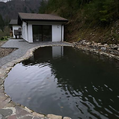 Котедж Грабовець Mizhhirya (Transcarpathia) Extérieur photo