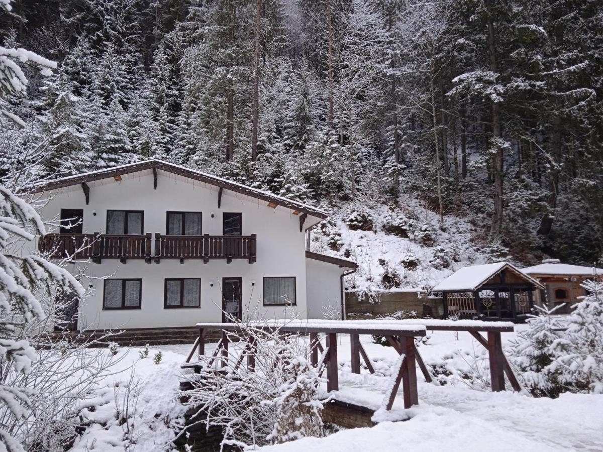 Cottage house Mizhhirya  Extérieur photo