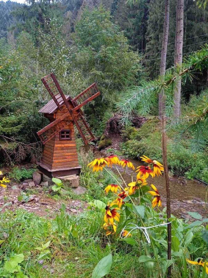 Котедж Грабовець Mizhhirya  Extérieur photo