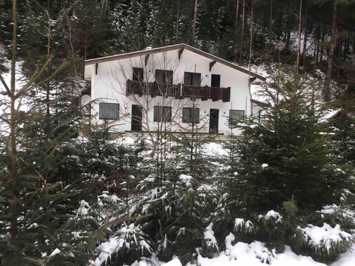 Cottage house Mizhhirya  Extérieur photo