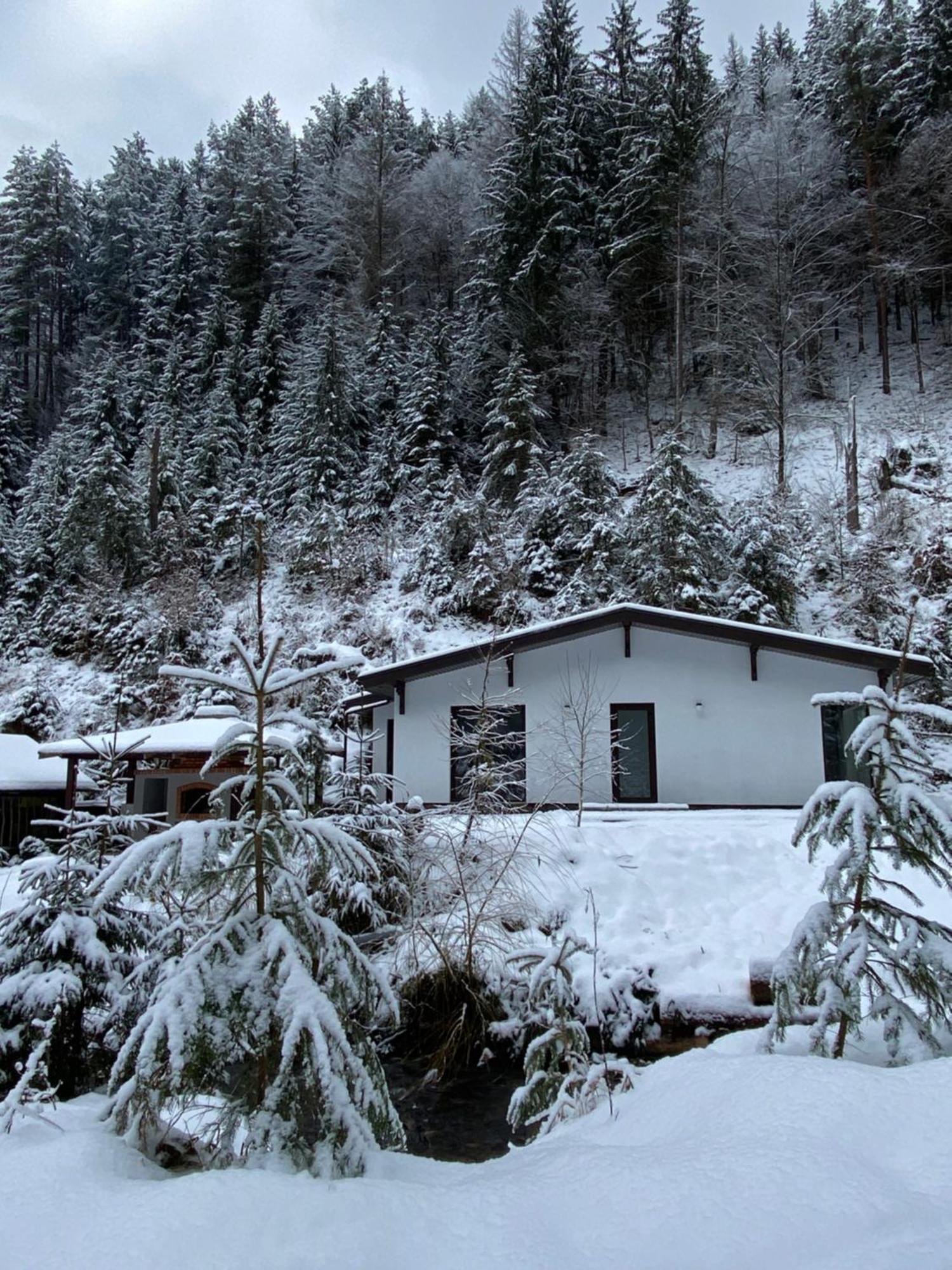 Котедж Грабовець Mizhhirya (Transcarpathia) Extérieur photo