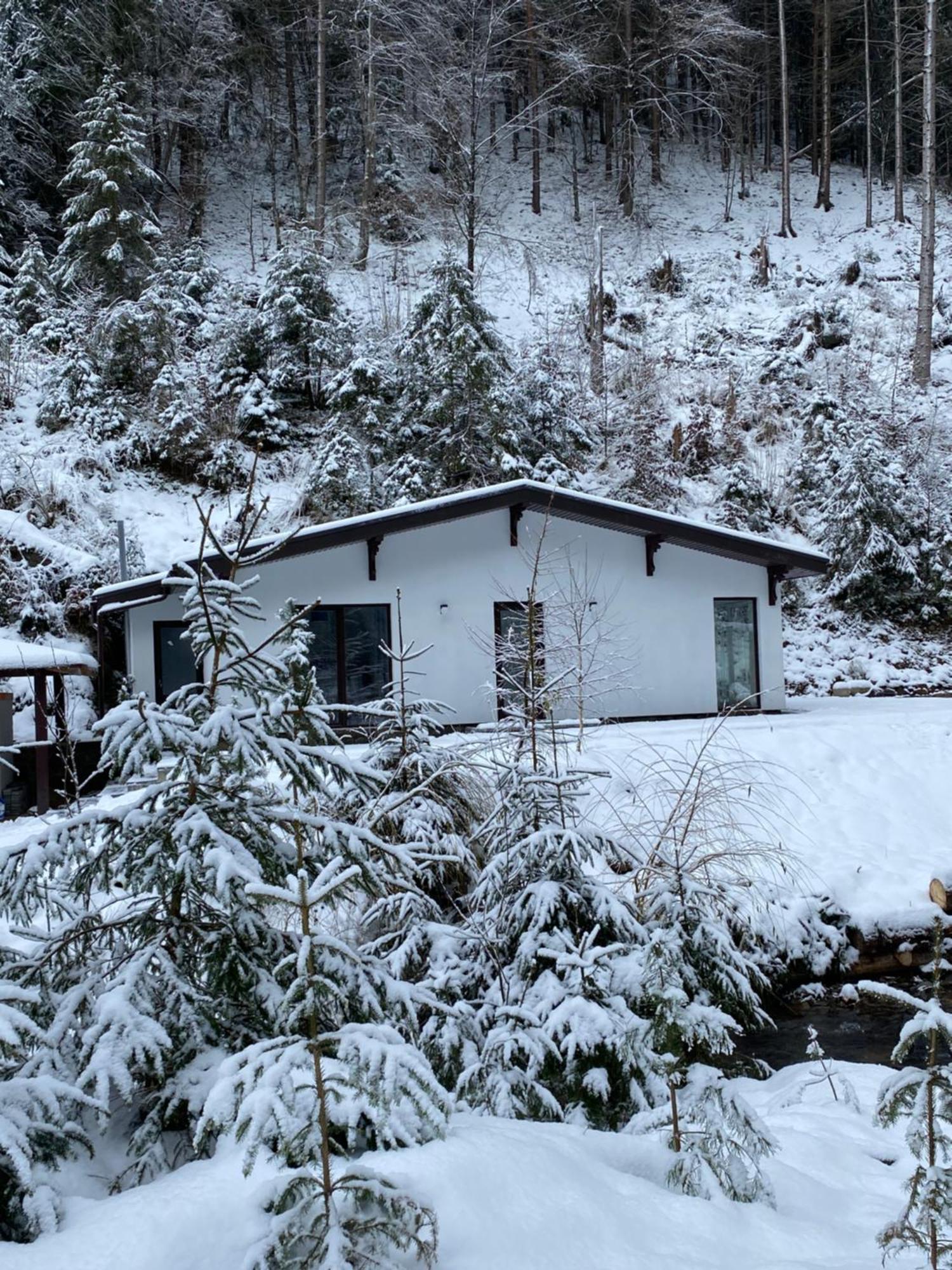 Cottage house Mizhhirya  Extérieur photo