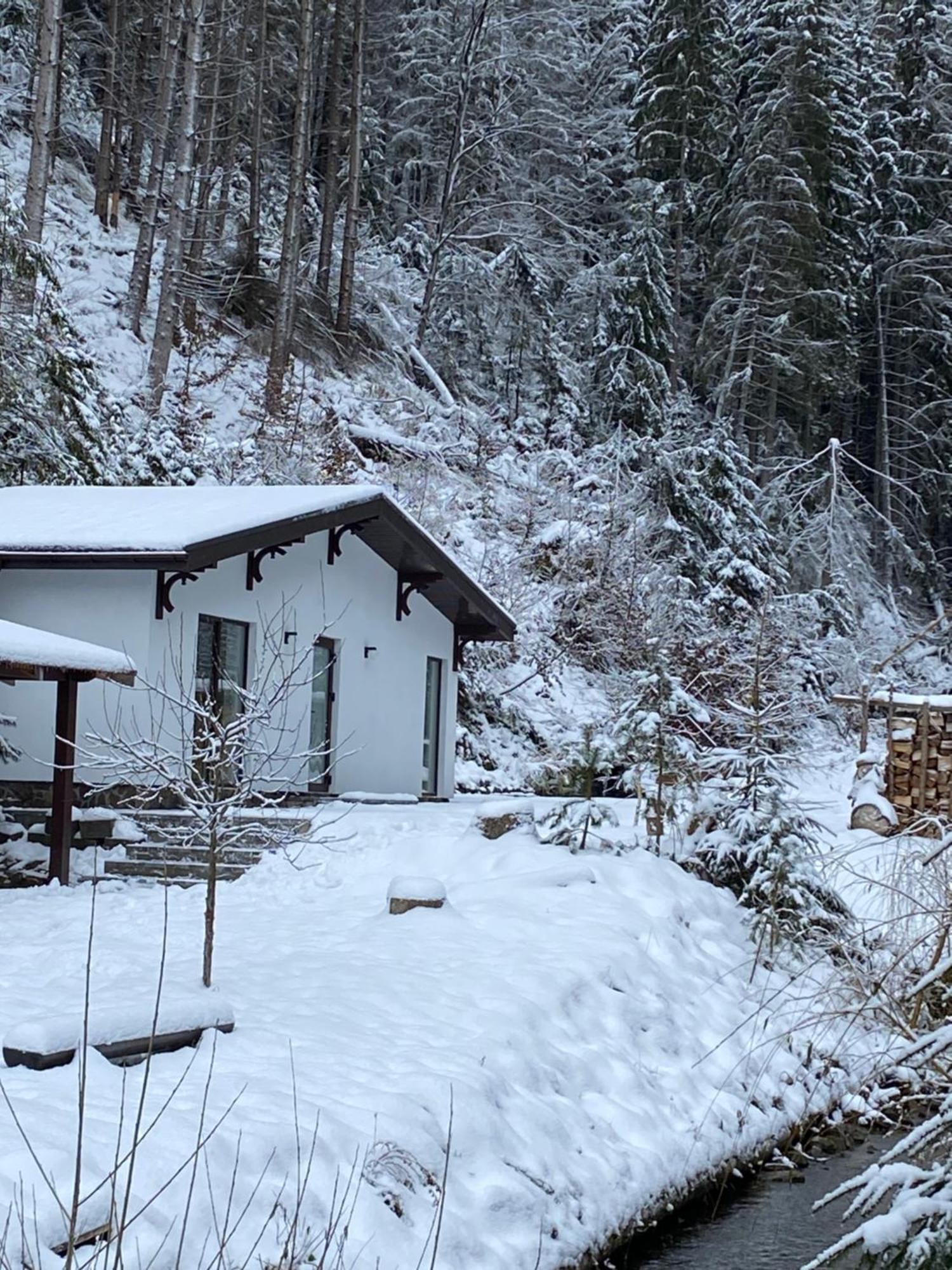 Котедж Грабовець Mizhhirya (Transcarpathia) Extérieur photo